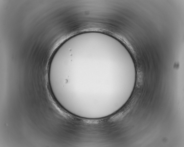 X0000090910890200708131410