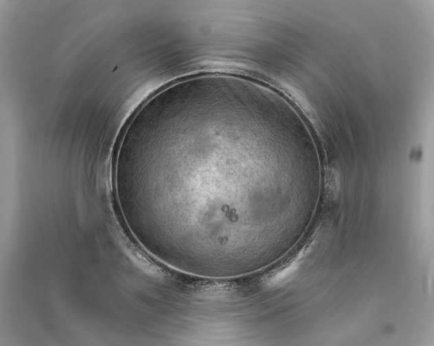 X0000090910891200708131410