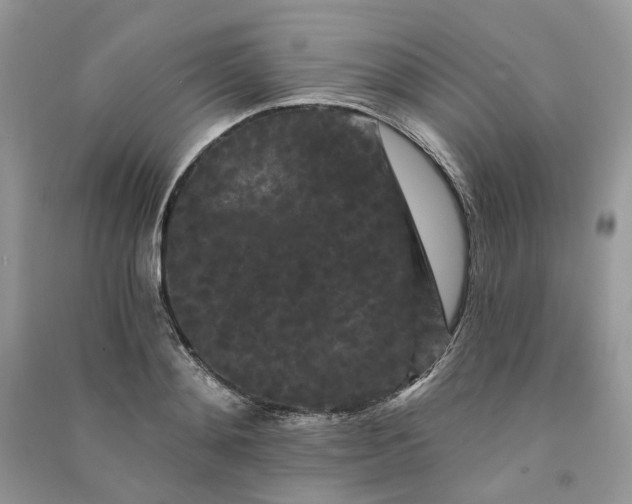 X0000090910892200708131410