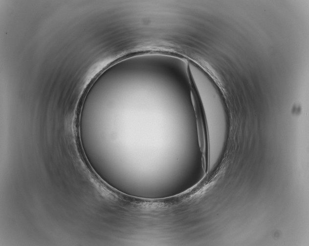 X0000090910893200708131410