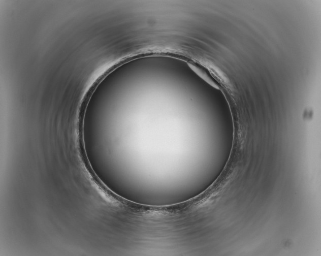 X0000090910894200708131410