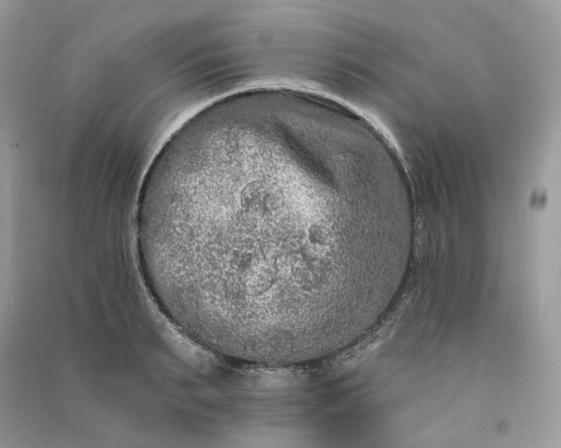 X0000090910895200708131410