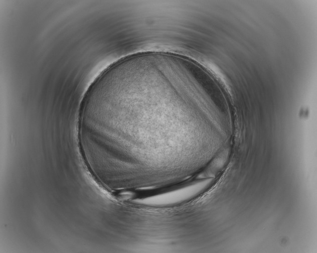 X0000090910896200708131410