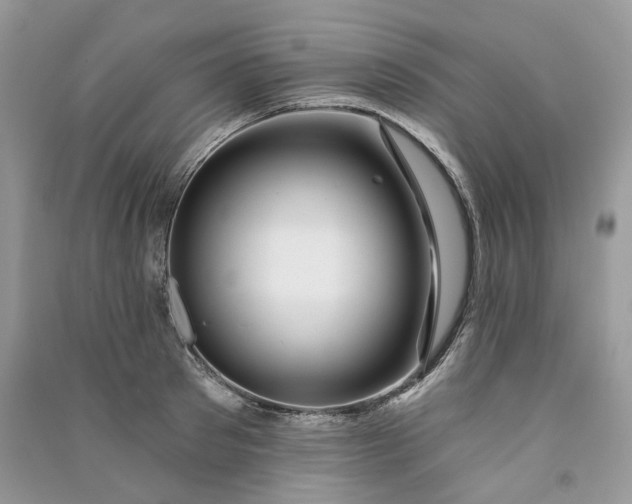 X0000090910897200708131410