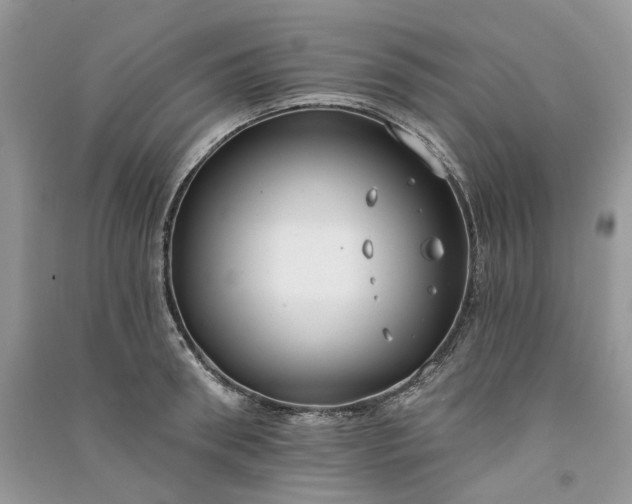 X0000090910898200708131410