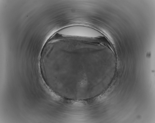 X0000090910899200708131410