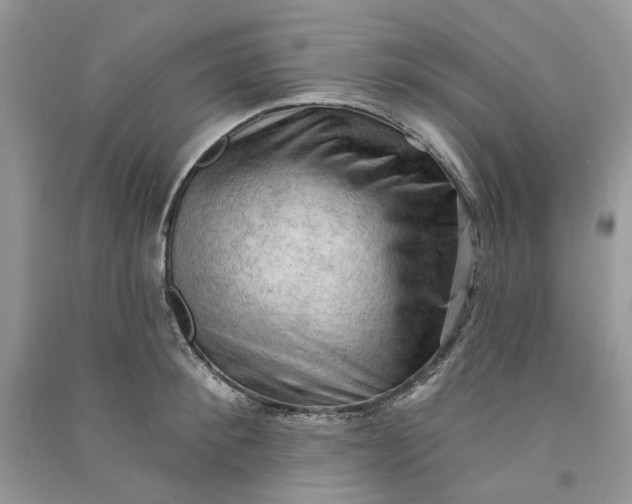 X0000090910900200708131410