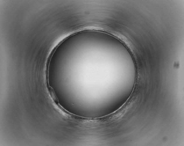 X0000090910902200708131410