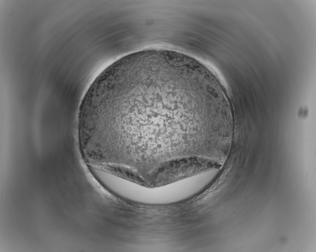 X0000090910903200708131410