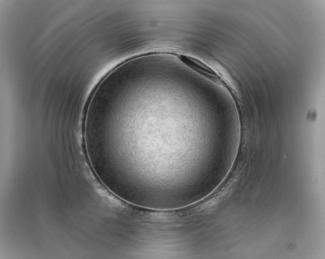 X0000090910904200708131410