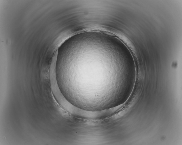 X0000090910905200708131410