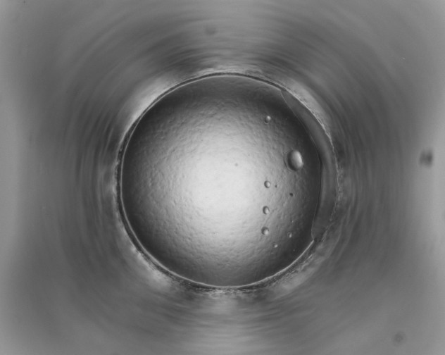 X0000090910906200708131410