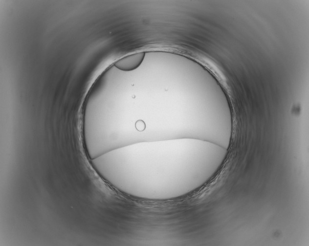 X0000090910907200708131410