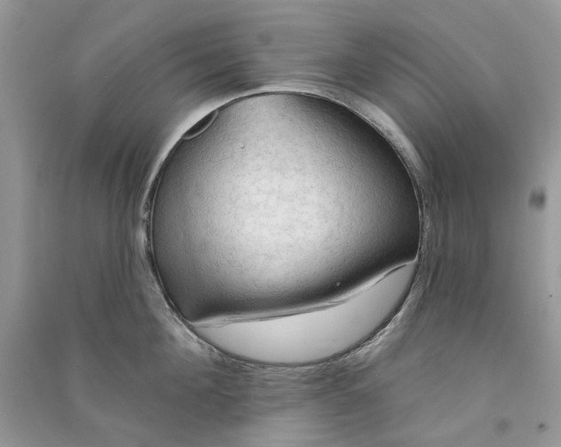 X0000090910908200708131410