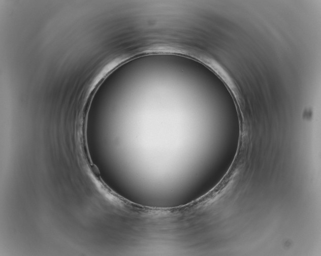 X0000090910909200708131410