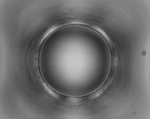 X0000090910910200708131410