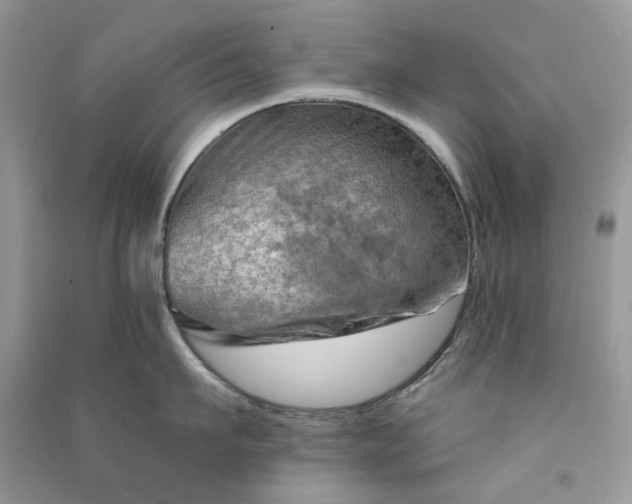 X0000090910911200708131410