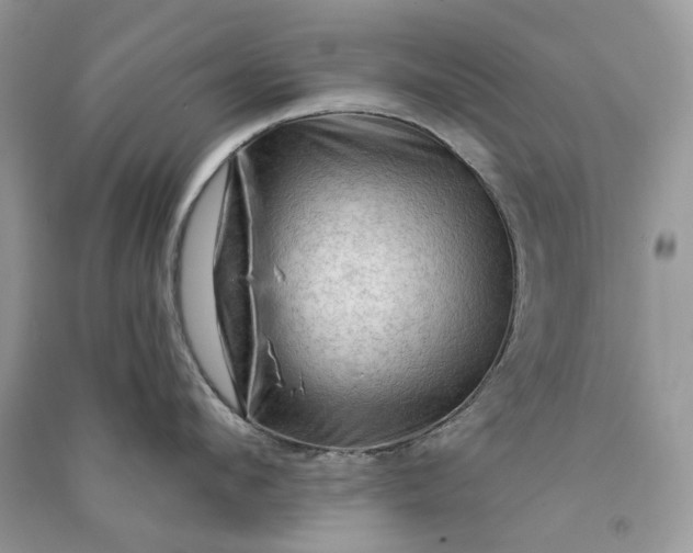 X0000090910912200708131410