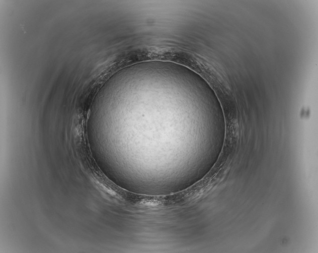 X0000090910914200708131409