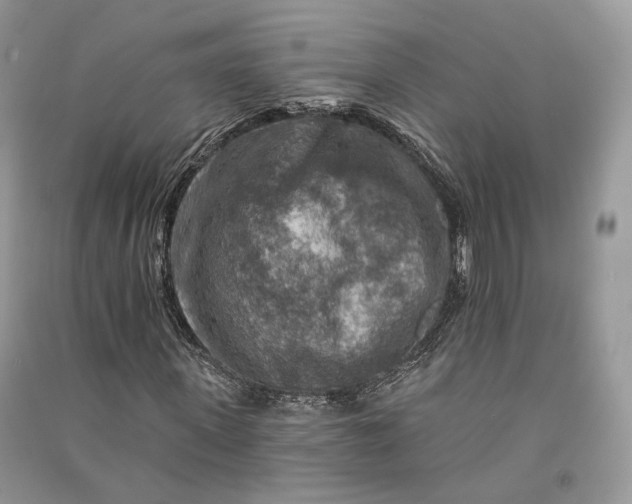 X0000090910915200708131409