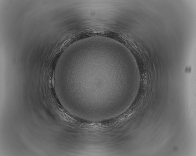 X0000090910916200708131409