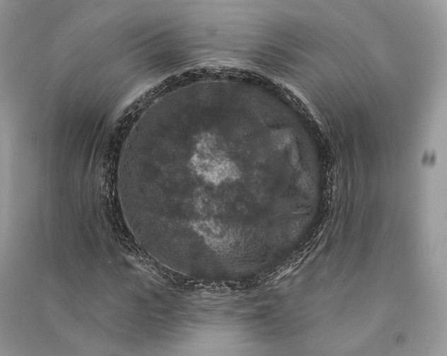 X0000090910919200708131409