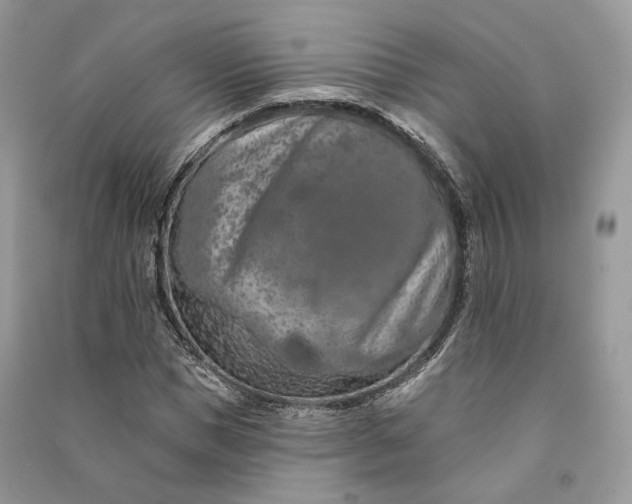 X0000090910921200708131409