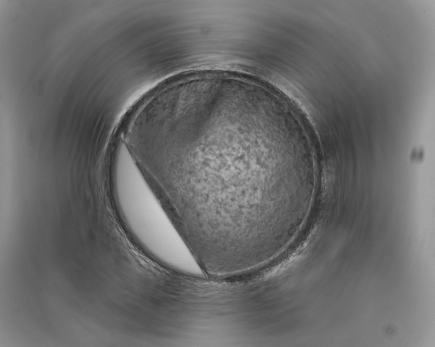 X0000090910925200708131409