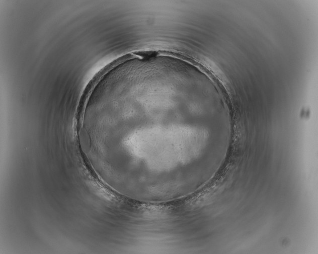 X0000090910928200708131409