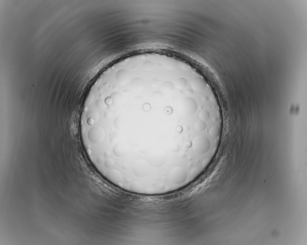 X0000090910929200708131410