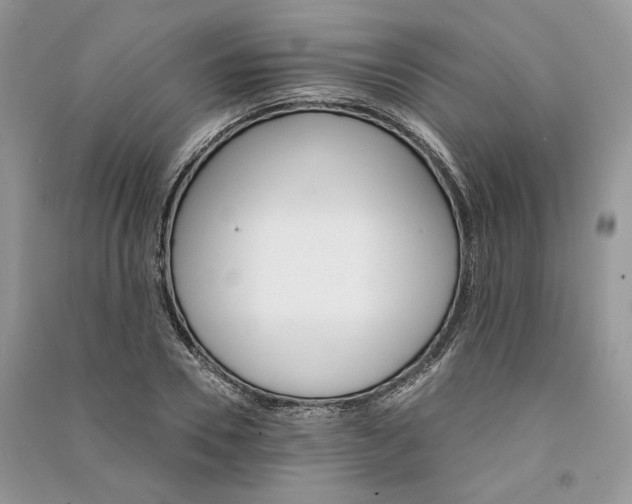 X0000090910930200708131410