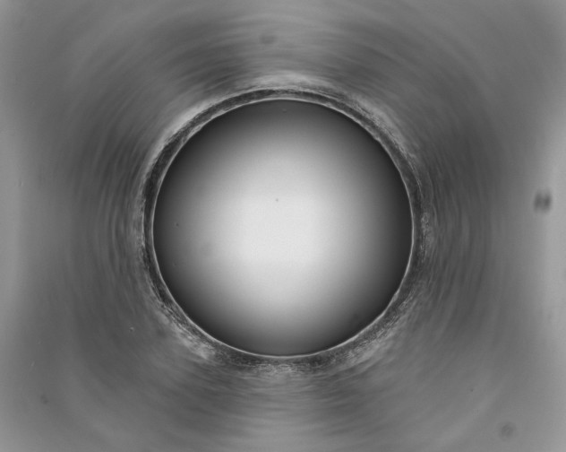 X0000090910931200708131410