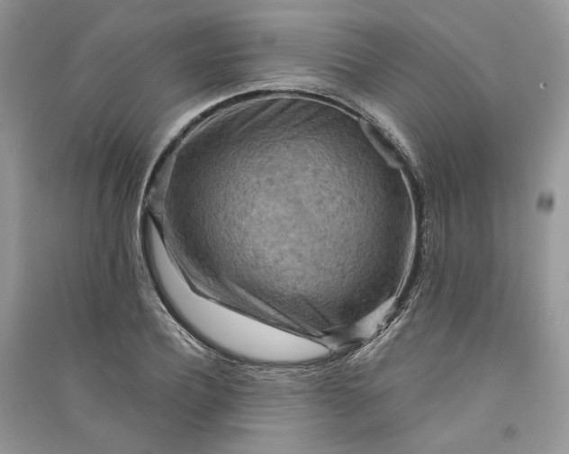 X0000090910932200708131410