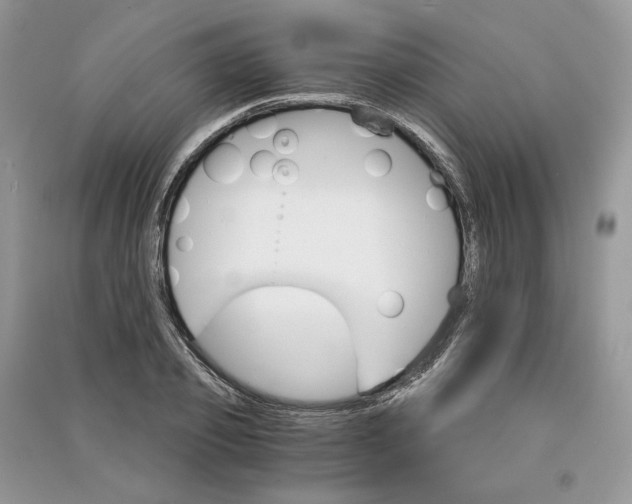 X0000090910933200708131410