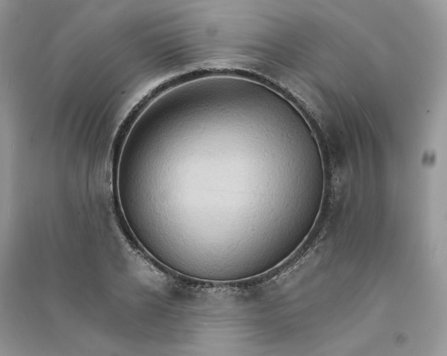 X0000090910934200708131410