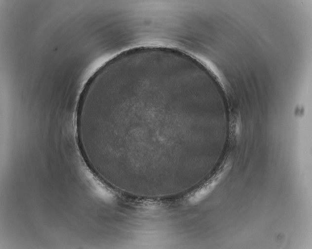 X0000090910935200708131410