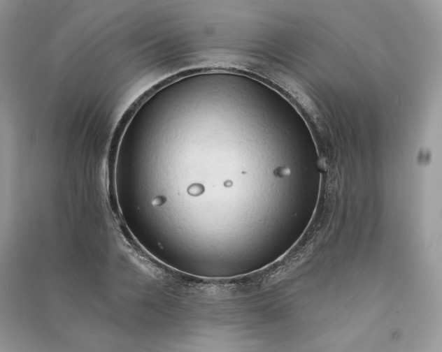 X0000090910936200708131410