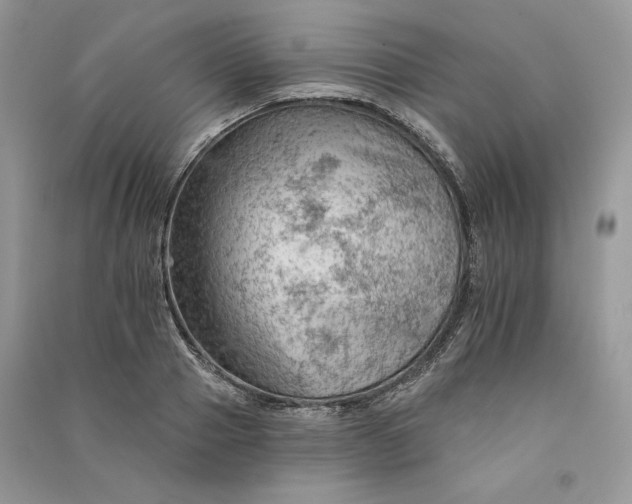 X0000090910937200708131410