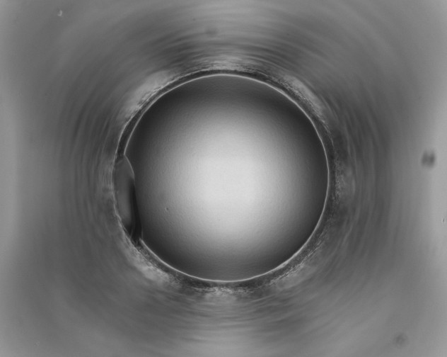 X0000090910938200708131410