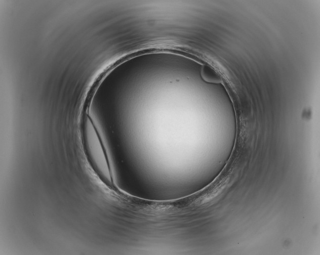 X0000090910939200708131410