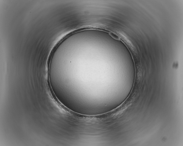 X0000090910940200708131410