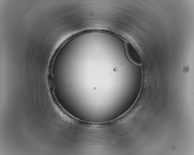 X0000090910942200708131410