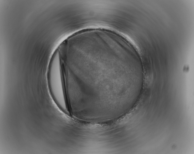 X0000090910943200708131410