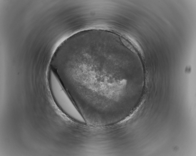 X0000090910944200708131410