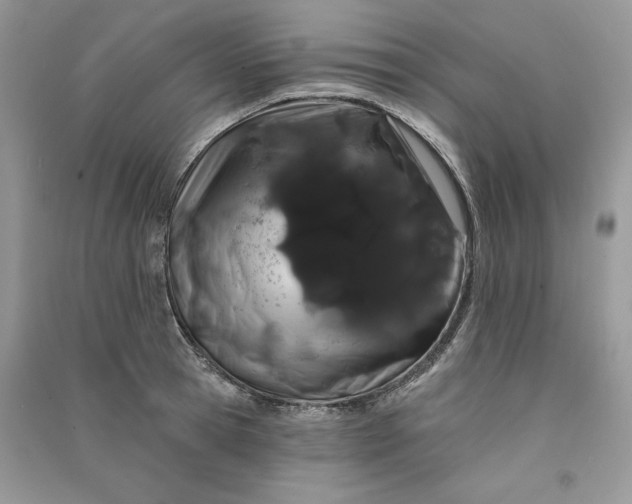 X0000090910945200708131410