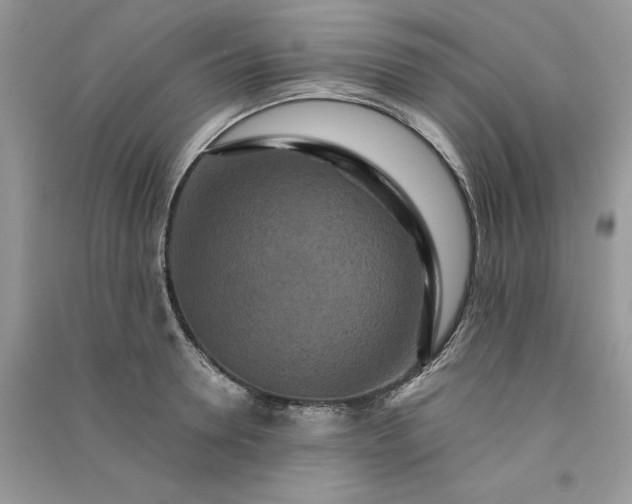 X0000090910946200708131410