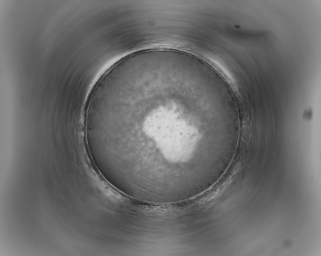 X0000090910948200708131410