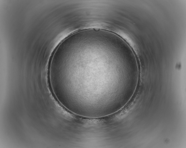 X0000090910949200708131410