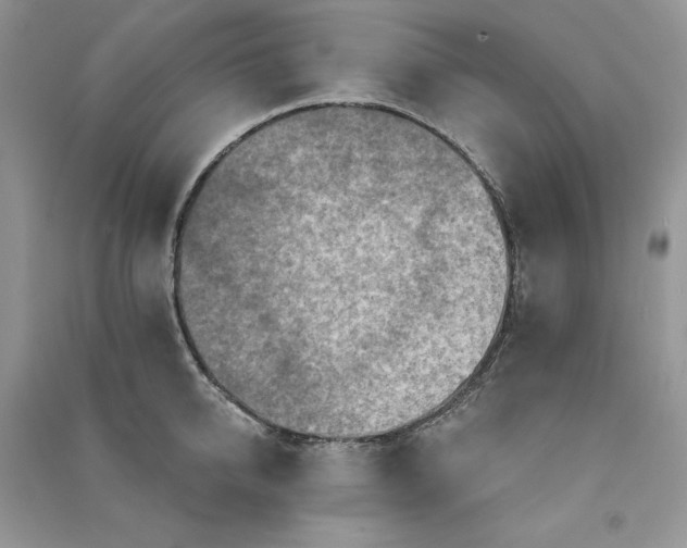 X0000090910950200708131410