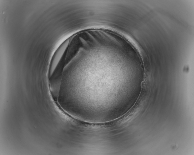 X0000090910951200708131410